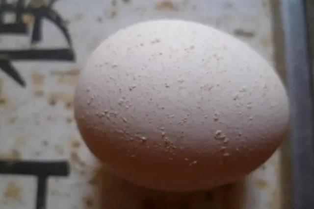 Có 2 loại trứng trong "danh sách đen" dễ gây hại sức khỏe, thèm đến mấy cũng phải VỨT!- Ảnh 4.