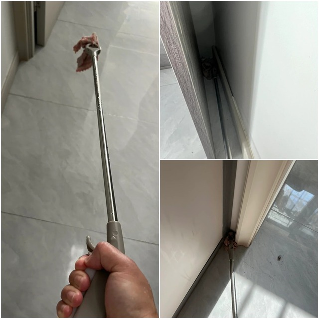 5 món đồ "giải phóng việc nhà", tôi thầm trách mình biết muộn!- Ảnh 5. 5 món đồ "giải phóng việc nhà", tôi thầm trách mình biết muộn!- Ảnh 5.