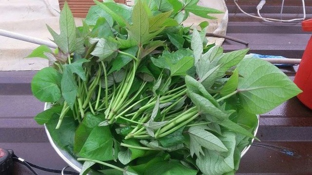 8 loại rau yên tâm mua ở chợ, không lo thuốc trừ sâu- Ảnh 4.