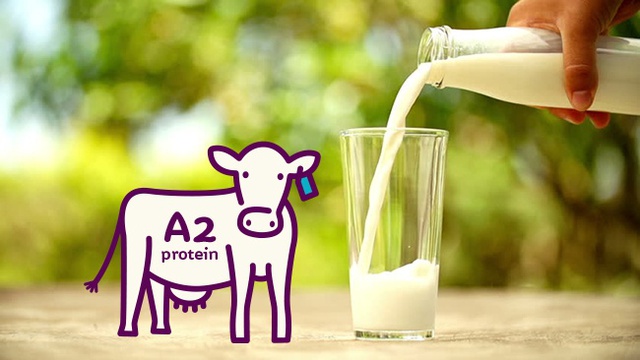 Sữa đạm quý A2 là gì? Sữa đạm A2 có phù hợp cho trẻ nhỏ?- Ảnh 1.