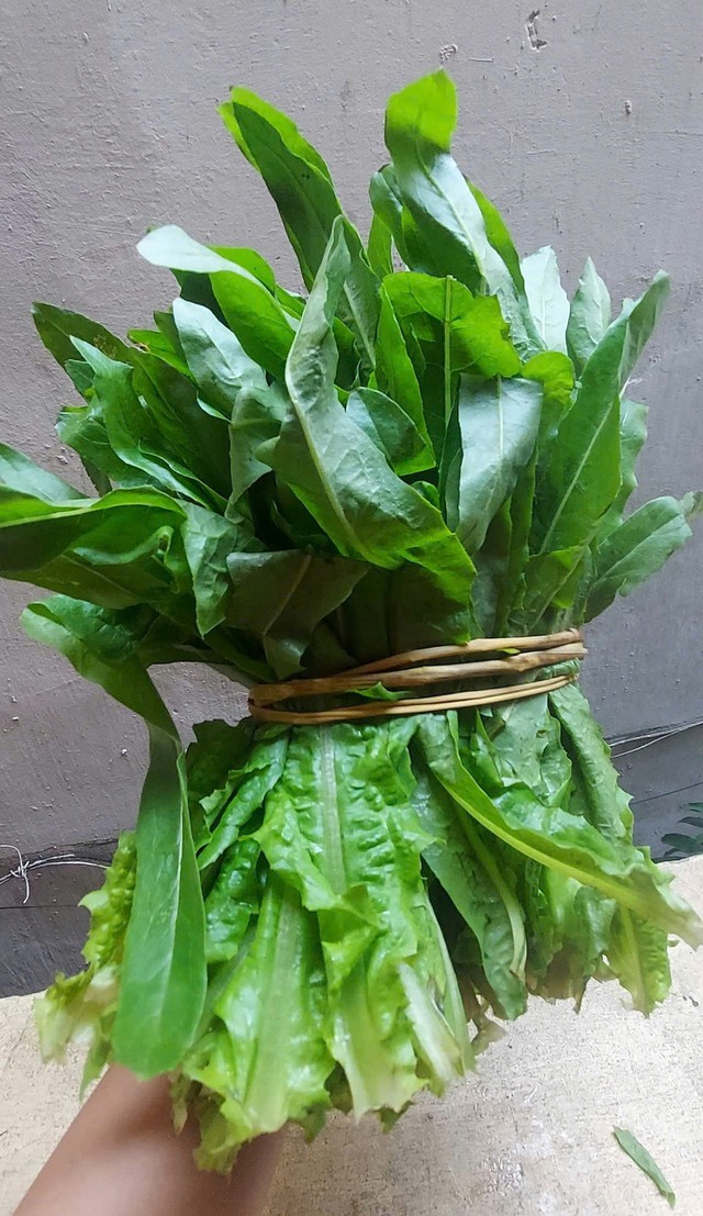 Loại rau "nhà nghèo" bổ hơn tổ yến, canxi gấp 36 lần nước hầm xương, chợ Việt bán nhiều vô kể- Ảnh 2.