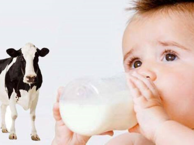 Sữa thủy phân là gì? Khi nào cha mẹ cần cho bé sử dụng sữa thủy phân?- Ảnh 1.