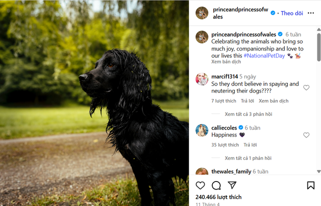 Gia đình Vương phi Kate vừa chào đón thành viên mới- Ảnh 1. Gia đình Vương phi Kate vừa chào đón thành viên mới- Ảnh 1.