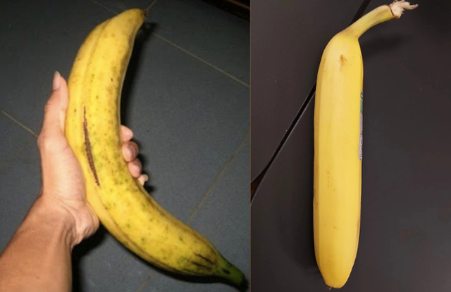 Đi chợ thấy chuối thẳng - chuối cong: Cao thủ liếc mắt 1 cái là biết nên chọn loại nào!- Ảnh 1. Đi chợ thấy chuối thẳng - chuối cong: Cao thủ liếc mắt 1 cái là biết nên chọn loại nào!- Ảnh 1.