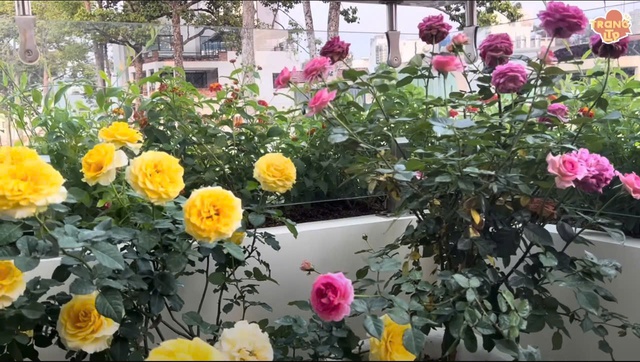 Sao nam Vbiz nhận cát-xê bằng vàng: Sống ở biệt thự có vị trí đắc địa 40 tỷ, bí ẩn 1 thông tin- Ảnh 5.