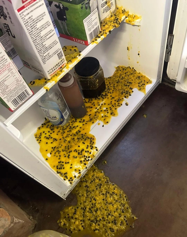 Vứt ngay 5 thứ này khỏi tủ lạnh, đừng đợi chúng nổ tung mới hối hận muộn màng- Ảnh 4.