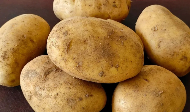 Hôm nay mới biết bảo quản khoai tây đơn giản thế: Không sợ mọc mầm, thối rữa, ai chưa biết thì tiếc lắm!- Ảnh 1. Hôm nay mới biết bảo quản khoai tây đơn giản thế: Không sợ mọc mầm, thối rữa, ai chưa biết thì tiếc lắm!- Ảnh 1.