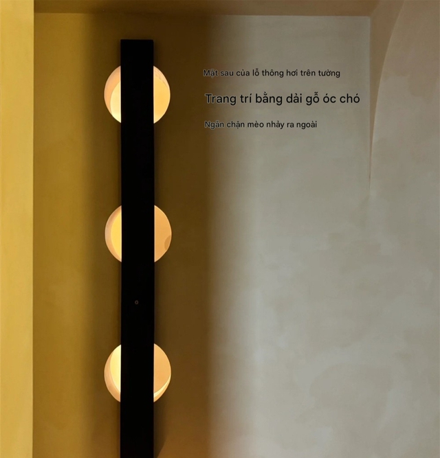 Yêu mèo không lối thoát, cô gái dỡ luôn 1 căn phòng để xây villa sang chảnh cho "hoàng thượng"- Ảnh 5.