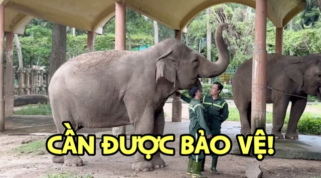 Thảo Cầm Viên công bố chương trình mới, nhưng dân mạng chỉ chú ý tới sự khác thường trong biểu cảm của nhân viên- Ảnh 4. Thảo Cầm Viên công bố chương trình mới, nhưng dân mạng chỉ chú ý tới sự khác thường trong biểu cảm của nhân viên- Ảnh 4.