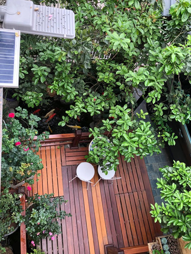 2 không gian sống đối lập đáng mơ ước của NSND nổi tiếng sắp làm đám cưới ở tuổi U60- Ảnh 16.