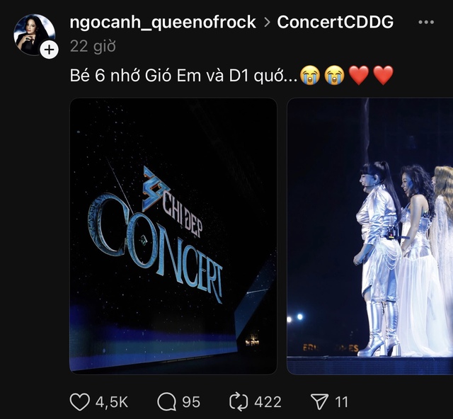 Các Chị Đẹp liên tục xin lỗi: Concert Day 2 bị hoãn vô thời hạn?- Ảnh 7.