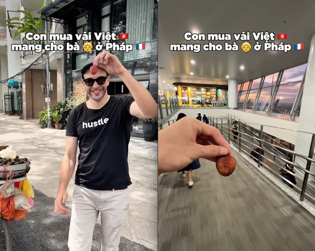 Khách Tây mang quả vải "to nhất Việt Nam" sang Pháp và cái kết rớt nước mắt- Ảnh 1. Khách Tây mang quả vải "to nhất Việt Nam" sang Pháp và cái kết rớt nước mắt- Ảnh 1.