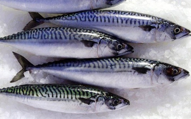 "Vua omega-3" là loại cá bình dân bán đầy chợ Việt, cá hồi ngậm ngùi hạng 2- Ảnh 1.