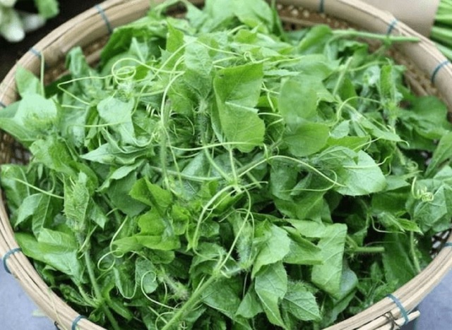 Loại rau mọc bờ rào nay "lên đời" thành đặc sản, vừa ngon bổ vừa dễ trồng tại nhà- Ảnh 1.