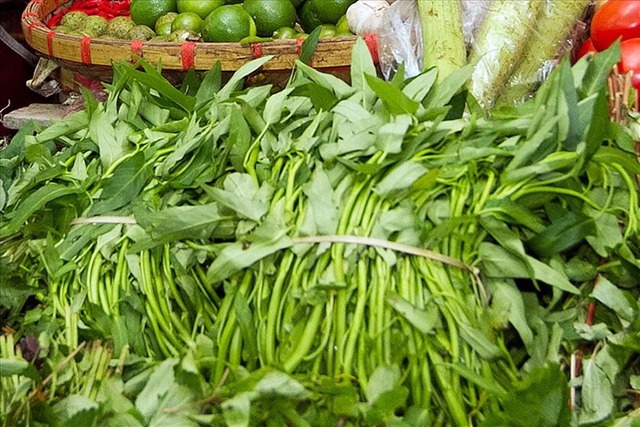 Loại rau rẻ tiền nhưng tốt ngang nhân sâm, chợ bán 5.000 đồng/mớ, không ăn là phí của trời- Ảnh 3. Loại rau rẻ tiền nhưng tốt ngang nhân sâm, chợ bán 5.000 đồng/mớ, không ăn là phí của trời- Ảnh 3.