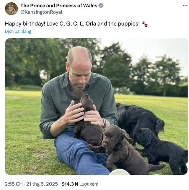 Vương phi Kate và Thân vương William bị chỉ trích vì nuôi chó- Ảnh 2. Vương phi Kate và Thân vương William bị chỉ trích vì nuôi chó- Ảnh 2.