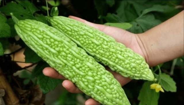 Mẹ tôi - người phụ nữ nông thôn ít học nhưng lại là "cao thủ" đi chợ, thâu tóm mọi sạp hàng- Ảnh 11. Mẹ tôi - người phụ nữ nông thôn ít học nhưng lại là "cao thủ" đi chợ, thâu tóm mọi sạp hàng- Ảnh 11.