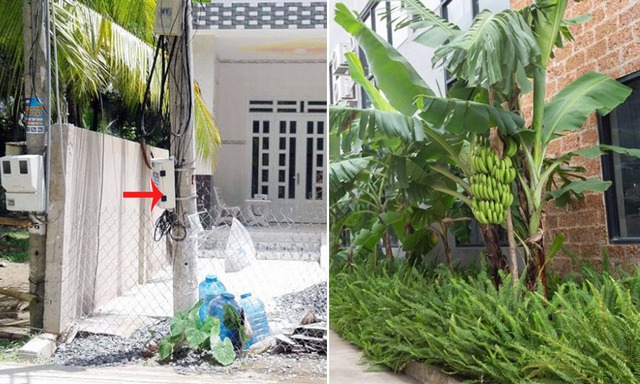 Người xưa dặn trồng chuối sau nhà, nhưng trước cửa mà có thứ này thì ĐỪNG DẠI làm theo!- Ảnh 2. Người xưa dặn trồng chuối sau nhà, nhưng trước cửa mà có thứ này thì ĐỪNG DẠI làm theo!- Ảnh 2.