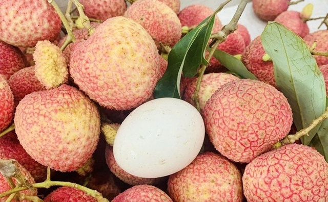 Bỏ 1,2 triệu để mua 5kg vải trứng: Kích thước "khủng" thật nhưng hương vị thế nào?- Ảnh 1.