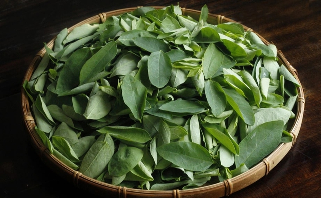 Loại rau bình dân 3.000đ một mớ, giàu sắt gấp 7 lần thịt bò, chợ Việt bán vô số mà nhiều người không biết mua- Ảnh 1. Loại rau bình dân 3.000đ một mớ, giàu sắt gấp 7 lần thịt bò, chợ Việt bán vô số mà nhiều người không biết mua- Ảnh 1.