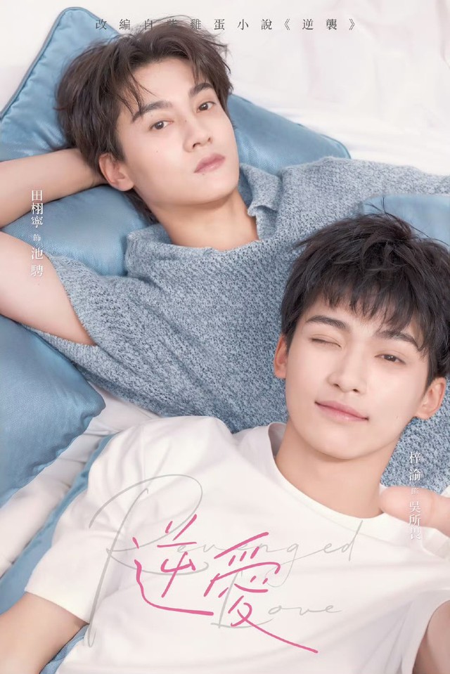 Cấm sóng “hot boy đam mỹ” bị 5 cô gái phốt không ngừng nghỉ, bạn diễn phất được 10 ngày cũng chung cảnh ngộ- Ảnh 1.