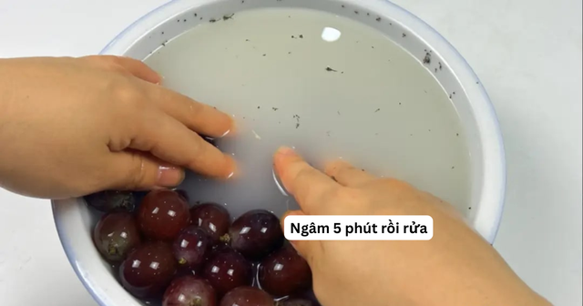 Cách rửa nho khiến trứng sâu trôi sạch, thuốc trừ sâu bay biến như chưa từng tồn tại- Ảnh 5.