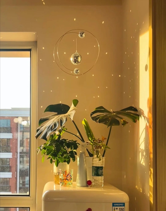 8 món đồ dùng tốt đến mức nghi ngờ nhân sinh, mua xong chỉ muốn khoe khắp thiên hạ- Ảnh 1.