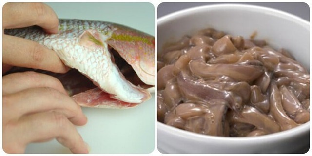 Chôn 2 thứ "rác" này vào chậu cây: Hoa tuôn nở như suối, ra quả tưng bừng ngọt lịm- Ảnh 1. Chôn 2 thứ "rác" này vào chậu cây: Hoa tuôn nở như suối, ra quả tưng bừng ngọt lịm- Ảnh 1.