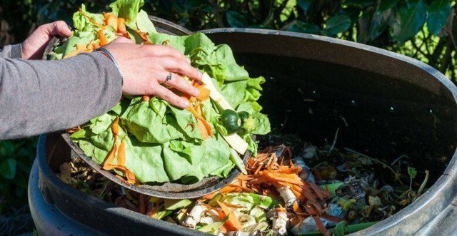 Chôn 2 thứ "rác" này vào chậu cây: Hoa tuôn nở như suối, ra quả tưng bừng ngọt lịm- Ảnh 2. Chôn 2 thứ "rác" này vào chậu cây: Hoa tuôn nở như suối, ra quả tưng bừng ngọt lịm- Ảnh 2.