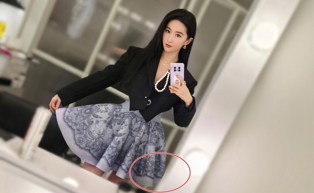 Lưu Diệc Phi bị bóc "sống ảo quen thói" hết đường chối- Ảnh 3.