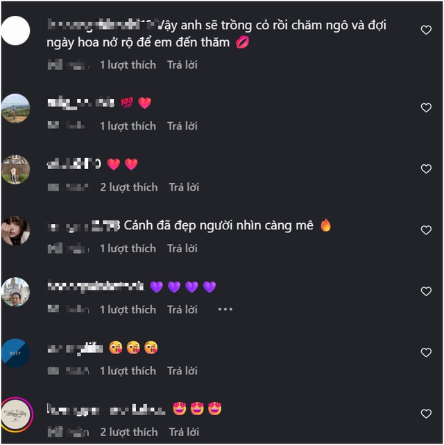 Ngắm bộ ảnh cưỡi ngựa cực "chữa lành" của hot girl Việt, danh tính gái xinh "không phải dạng vừa"- Ảnh 12.