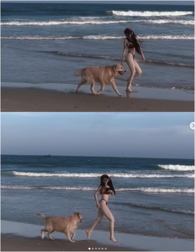 Ngắm bộ ảnh cưỡi ngựa cực "chữa lành" của hot girl Việt, danh tính gái xinh "không phải dạng vừa"- Ảnh 3.