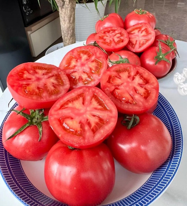 Ngồi giữa chợ bán hơn 50 loại cà chua, người phụ nữ trung niên gây bão mạng- Ảnh 11.
