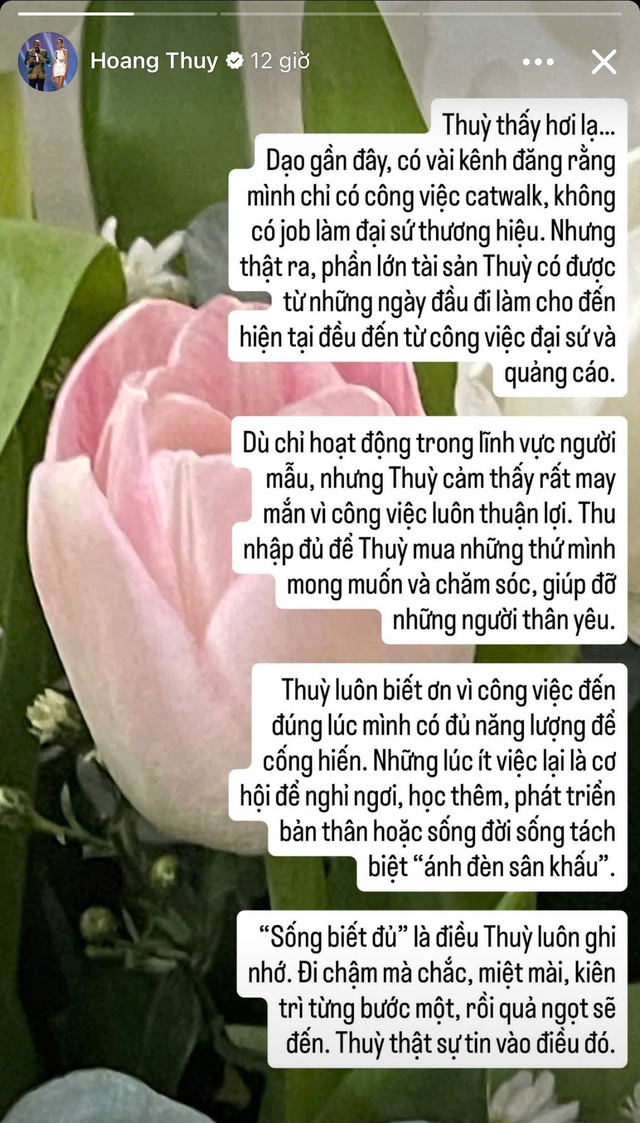Bị mỉa mai ế show quảng cáo, Hoàng Thuỳ tuyên bố: "Sống biết đủ, chậm mà chắc!"- Ảnh 1.