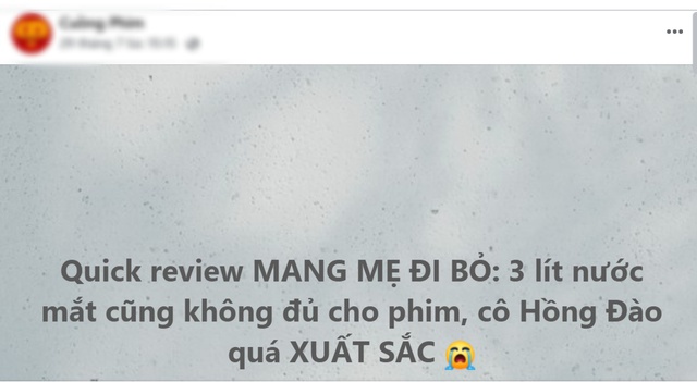 MXH tranh cãi không dứt vì phim Việt top 1 phòng vé: Người khóc đến “váng đầu”, người xem xong uất ức cả đêm- Ảnh 2.