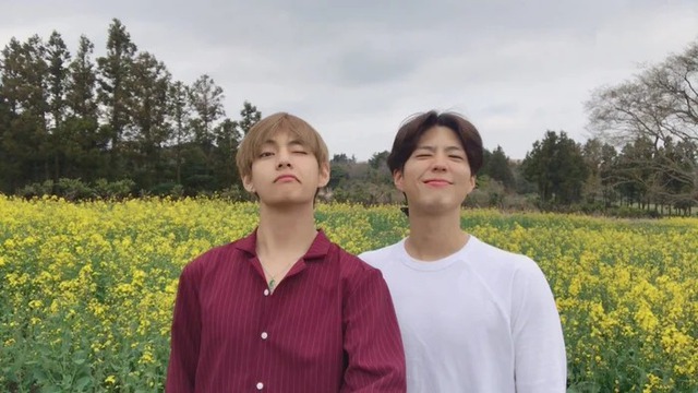 Bắt gọn V (BTS) và Park Bo Gum "hẹn hò" hộp đêm ở Pháp, dân mạng có phản ứng khác lạ- Ảnh 3.