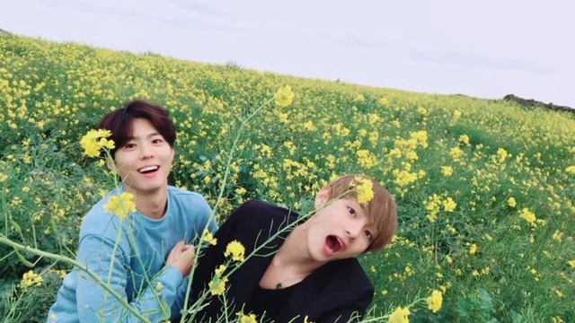 Bắt gọn V (BTS) và Park Bo Gum "hẹn hò" hộp đêm ở Pháp, dân mạng có phản ứng khác lạ- Ảnh 4.
