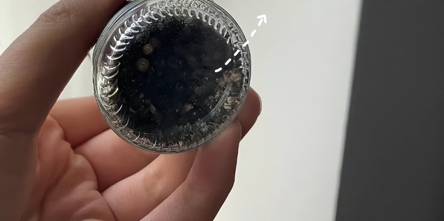 5 thiết kế tưởng vô dụng hóa ra lại xịn, nhiều người đến giờ vẫn chưa biết "sự thật"- Ảnh 1.