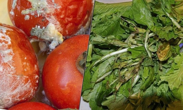 Ăn nhiều 5 loại rau này khác nào tự "đầu độc" gan, loại đầu tiên gần như xuất hiện đều trên mâm cơm mọi nhà- Ảnh 2. Ăn nhiều 5 loại rau này khác nào tự "đầu độc" gan, loại đầu tiên gần như xuất hiện đều trên mâm cơm mọi nhà- Ảnh 2.