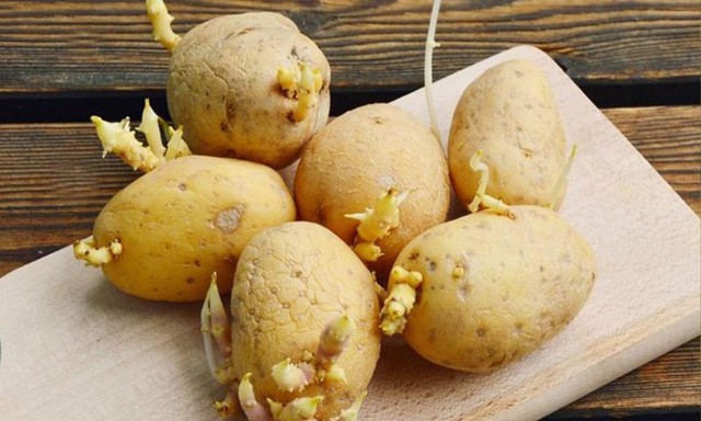 Ăn nhiều 5 loại rau này khác nào tự "đầu độc" gan, loại đầu tiên gần như xuất hiện đều trên mâm cơm mọi nhà- Ảnh 3. Ăn nhiều 5 loại rau này khác nào tự "đầu độc" gan, loại đầu tiên gần như xuất hiện đều trên mâm cơm mọi nhà- Ảnh 3.