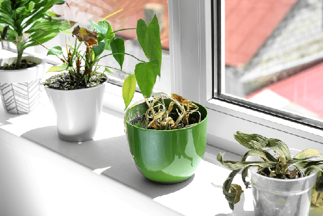 Tiền không vào nhà bẩn, phúc không dưỡng người dơ - Lười đến mấy cũng phải VỨT 4 thứ này đi!- Ảnh 4.