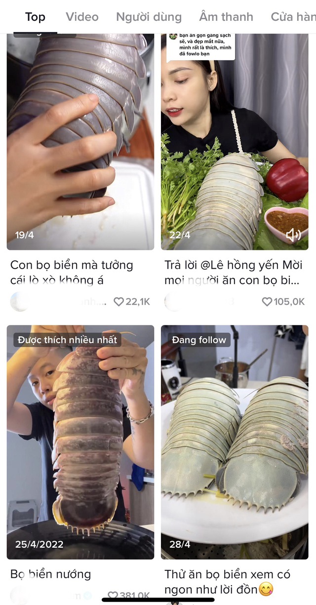 Loại hải sản "nhà giàu" cực đáng sợ ngay tại Việt Nam: Giá lên tới 4 triệu/con nhưng người khen kẻ chê- Ảnh 4.