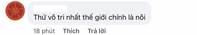 Dân mạng chê vợ chồng Ngô Thanh Vân “tấm chiếu mới bỉm sữa”, chi 100 triệu đồ cho con nhưng 70% vô dụng, chật nhà- Ảnh 8.