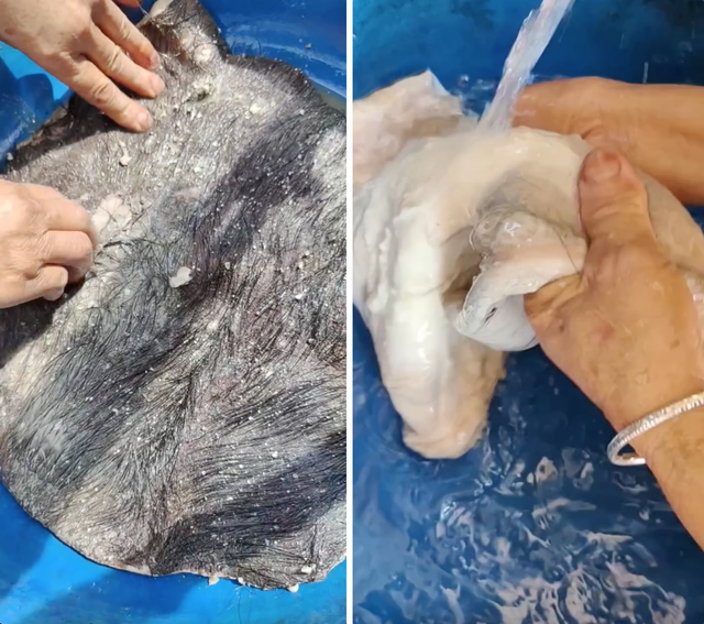 Món ăn "gây sốc" của Việt Nam: Xếp vào hàng kinh dị nhưng người địa phương coi là ngon nhất- Ảnh 2. Món ăn "gây sốc" của Việt Nam: Xếp vào hàng kinh dị nhưng người địa phương coi là ngon nhất- Ảnh 2.