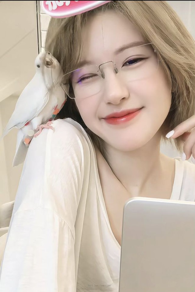 Cú lật bất ngờ: Ai là “ông lớn” cứu Triệu Lộ Tư và phơi bày bí mật rúng động hậu trường?- Ảnh 5. Cú lật bất ngờ: Ai là “ông lớn” cứu Triệu Lộ Tư và phơi bày bí mật rúng động hậu trường?- Ảnh 5.