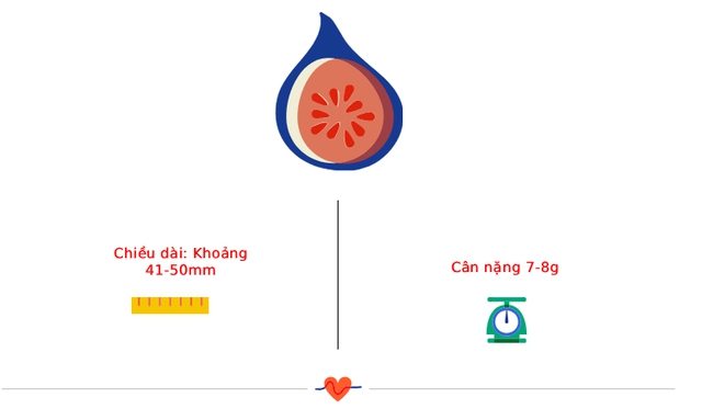 Tuần thai thứ 11: Bé cử động linh hoạt, mẹ lộ rõ vóc dáng phụ nữ mang thai- Ảnh 3. Tuần thai thứ 11: Bé cử động linh hoạt, mẹ lộ rõ vóc dáng phụ nữ mang thai- Ảnh 3.