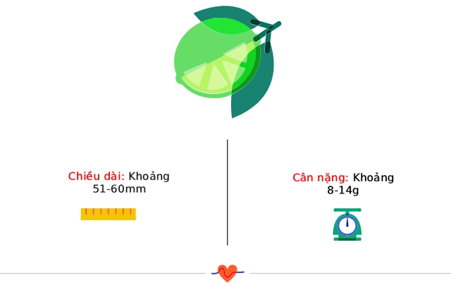 Tuần thai thứ 12: Giai đoạn ốm nghén đã qua, chúc mừng mẹ hoàn thành Tam cá nguyệt thứ nhất!- Ảnh 3.