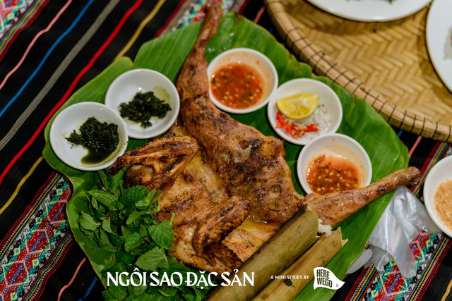 Xách balo về Gia Lai đại ngàn: Ăn phở 2 tô, ngắm rừng thông trăm tuổi và đắm mình trong sắc xanh đồi chè- Ảnh 9.