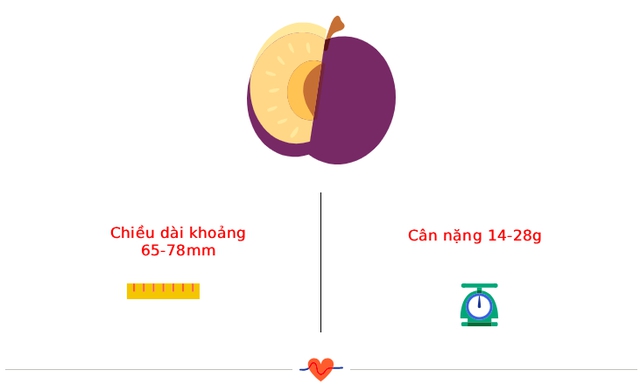 Tuần thai thứ 13: Tam cá nguyệt thứ hai bắt đầu, bé cử động rõ và có thể mút tay- Ảnh 3.