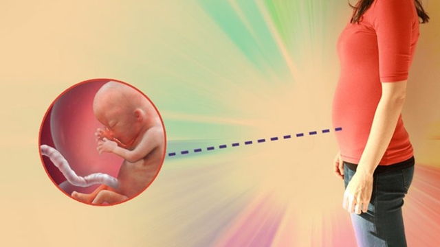 Tuần thai thứ 13: Tam cá nguyệt thứ hai bắt đầu, bé cử động rõ và có thể mút tay- Ảnh 7.